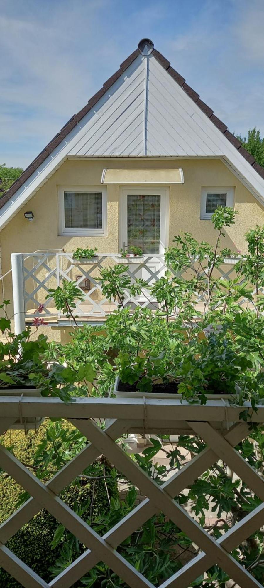 Appartement Patrik