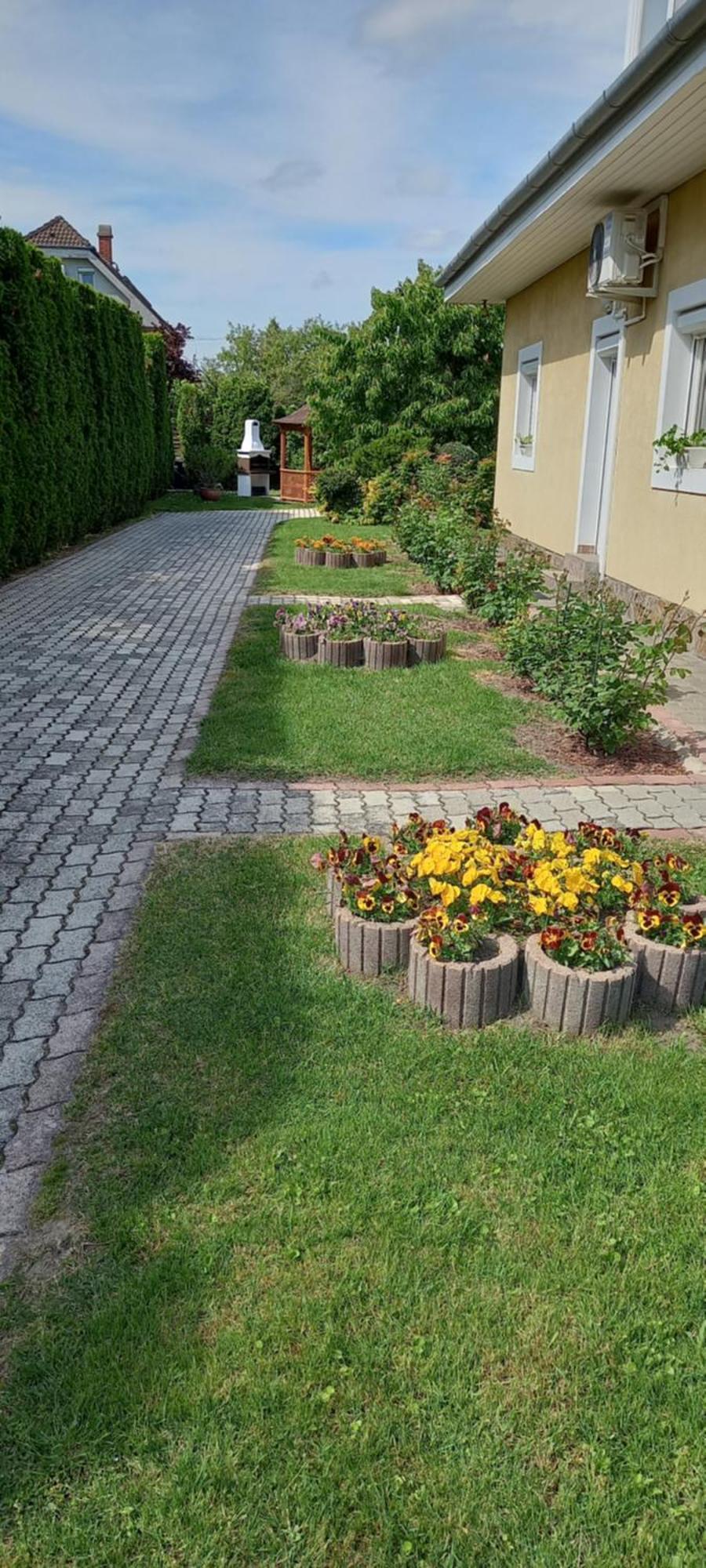 Patrik Appartement